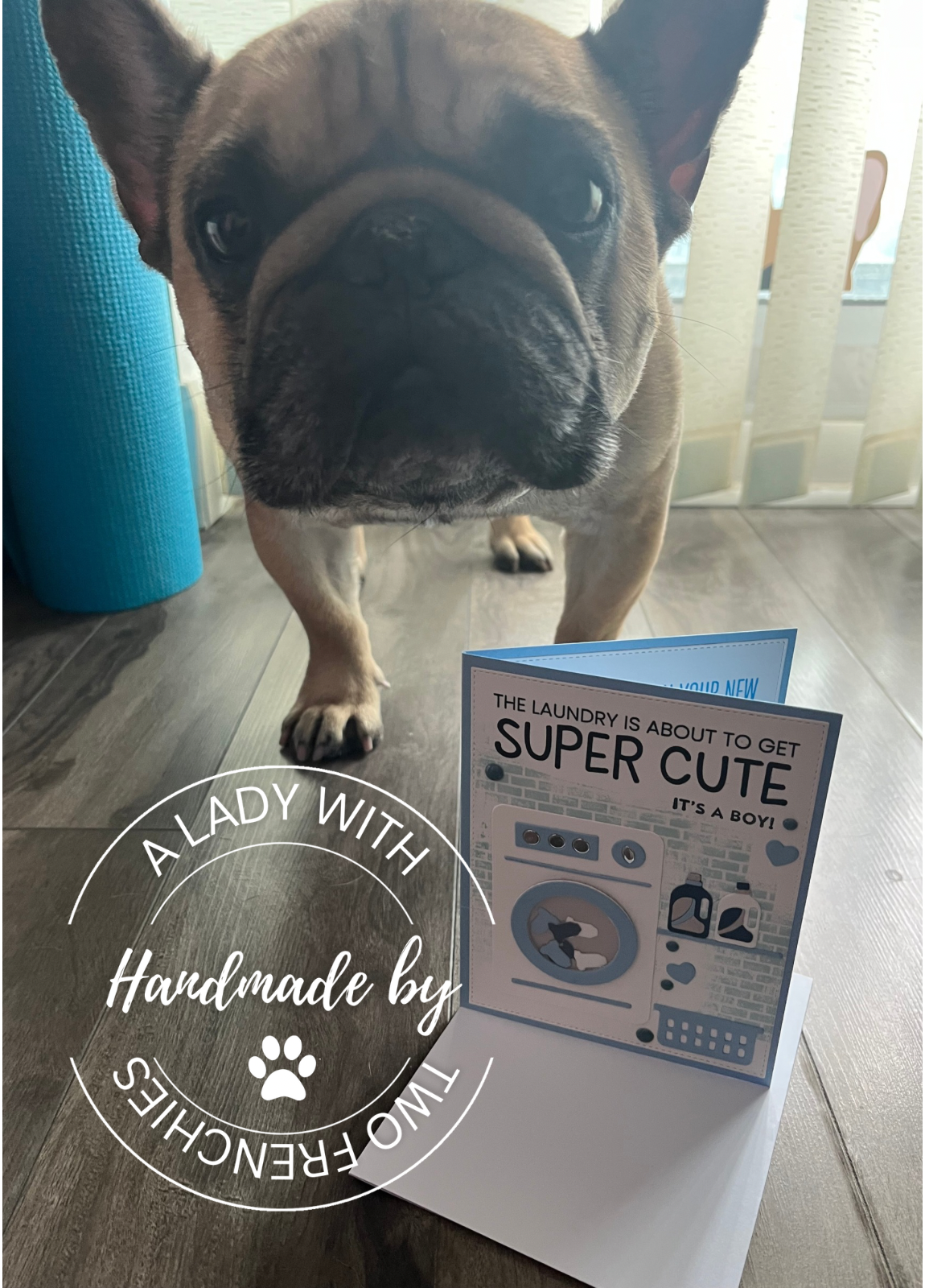 Baby - Super Cute Laundry