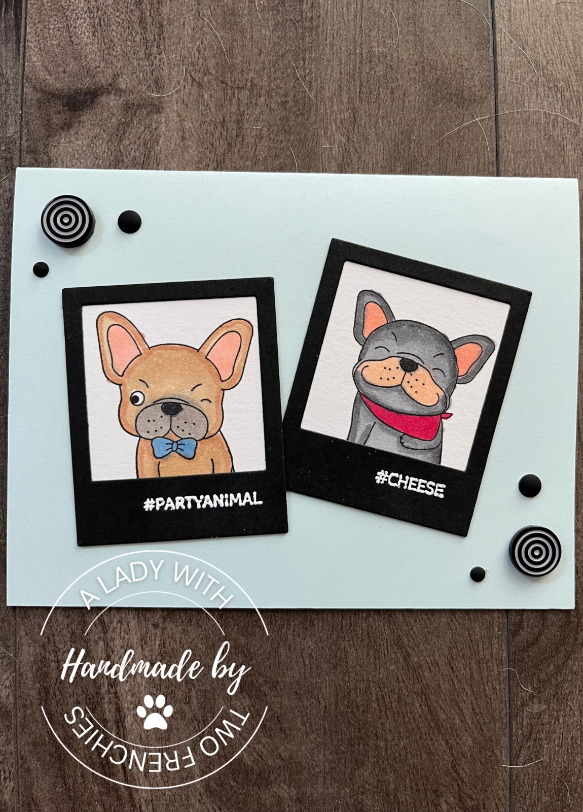 Frenchie Polaroids - Birthday