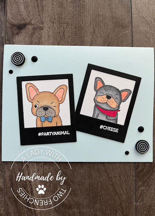 Frenchie Polaroids - Birthday