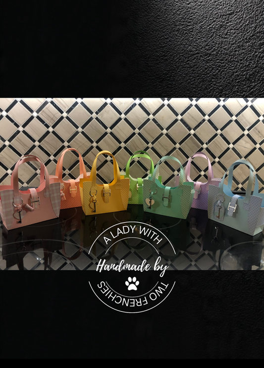 Handbag Treat Bag